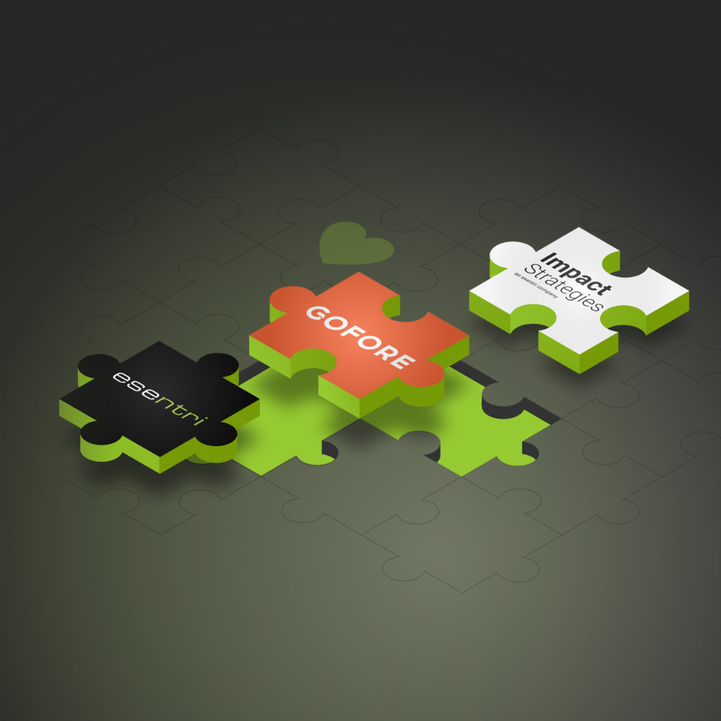 esentri-impact strategies-gofore